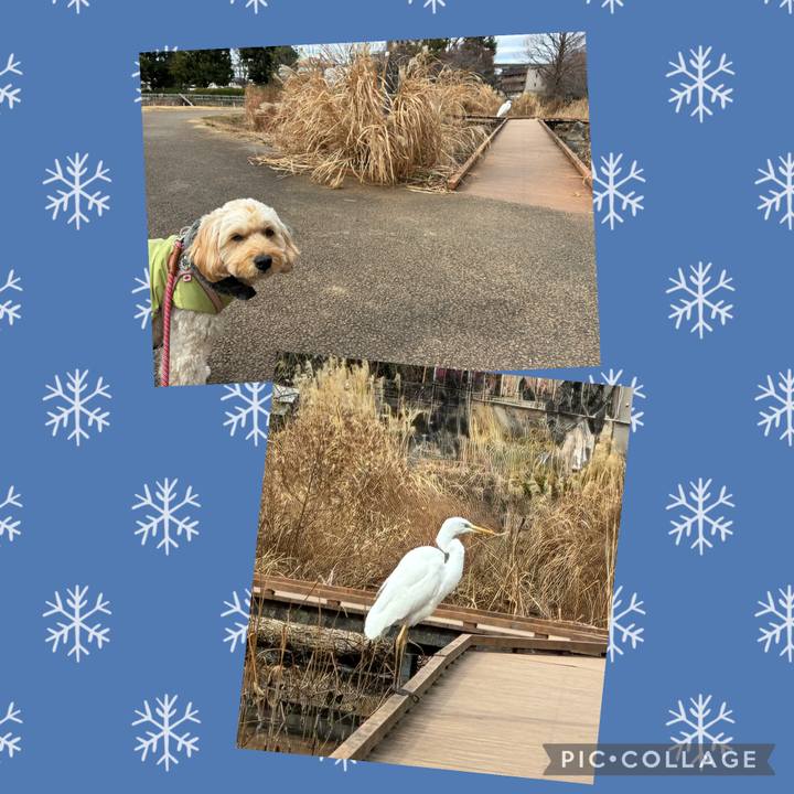 93c76c0e efca 4586 9a13 e75d95a0571a 1768986903306