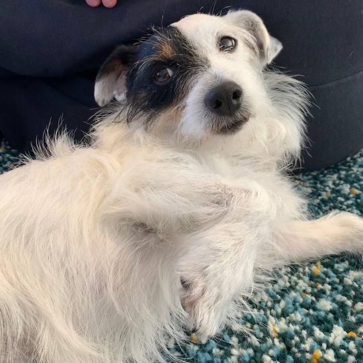 93c77a72 d371 42a6 b6a7 fa48b4ab504d 1589434562659