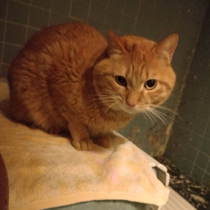 93c77b8a 5815 4035 9399 7e6bbf65373a 1707643613382