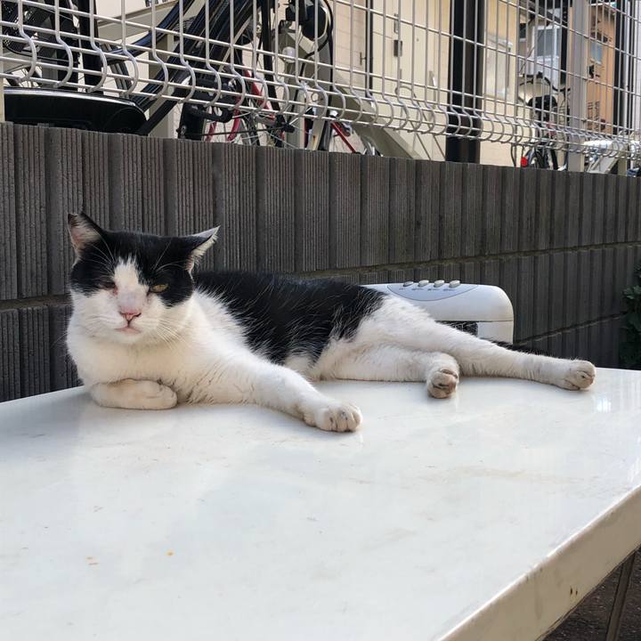 93c78485 6302 4320 a7b9 fd64d9d28344 1629272940697