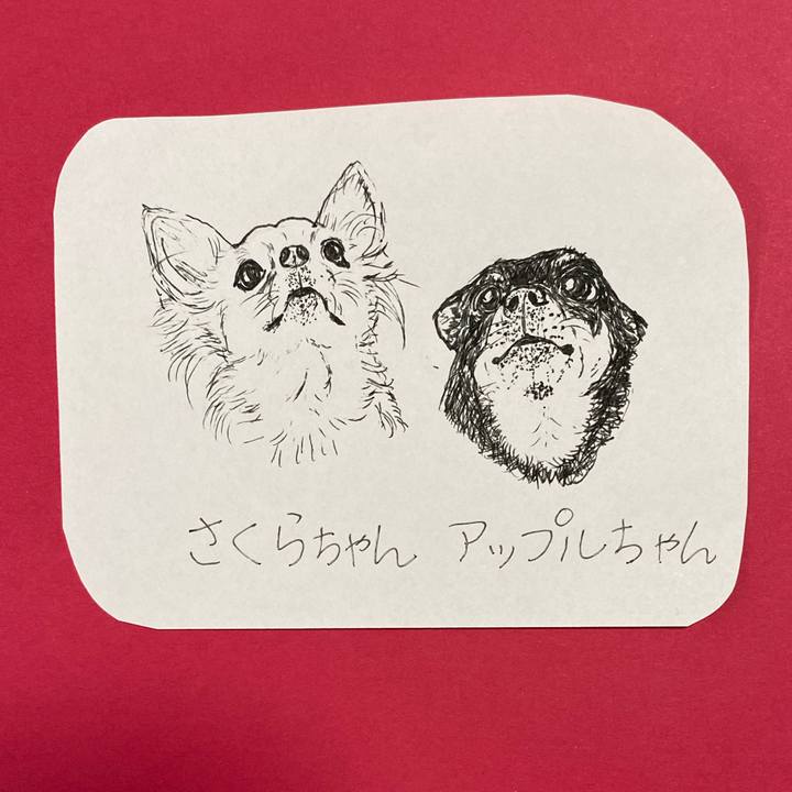 93c7950d 6dce 4dcb a5ba 8474e7a1a20d 1618805086511