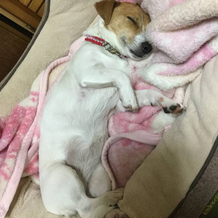 93c79c14 e768 4fc6 bd26 1163b4150b30 1556540297305