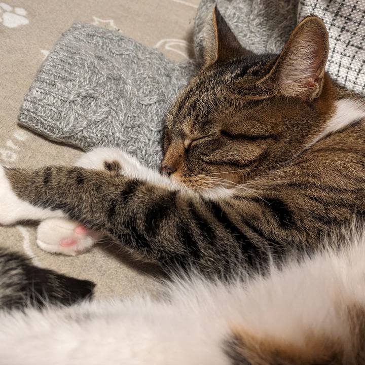 93c7b9bf d71c 40c0 b6a1 0b029bde4284 1703334652859