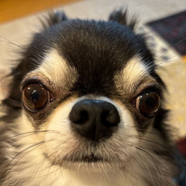 93c7d33b e46b 478b b2c9 91c4697b7cd9 1724541949337