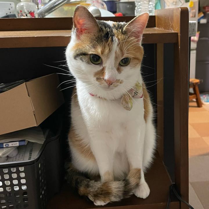 93c7f6a3 29f8 4eaf 8a23 be0153c2016a 1647528955564