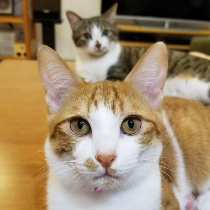 93c7ffa0 4d72 4008 b55f 85d653813d07 1513420625235