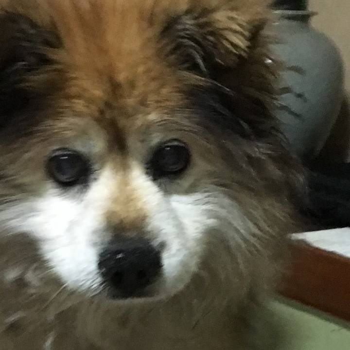 93c86028 2247 4e98 b774 5f2d804d5c93 1630046864886