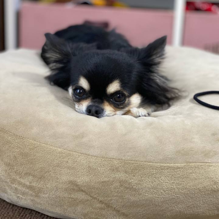 93c8a71a 8020 4e02 8d43 f626ec4a21cc 1620686733262