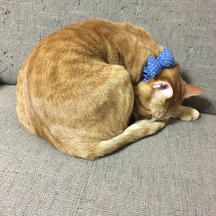 93c8ef9c 8b9b 45f2 9b0b cb32d1fb5f30 1544533741399