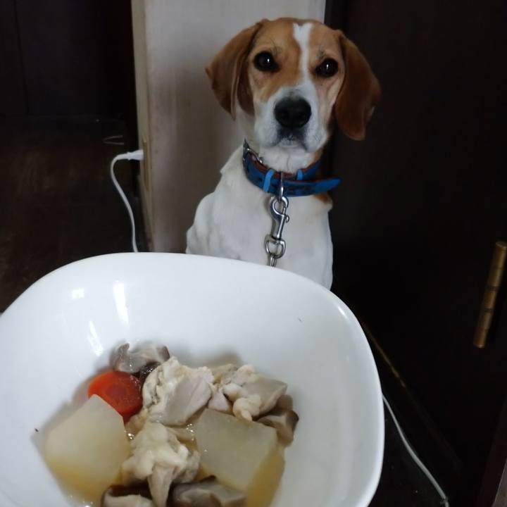 93c8f046 f4e9 40f3 be6e 492cf5954e4e 1610433374054