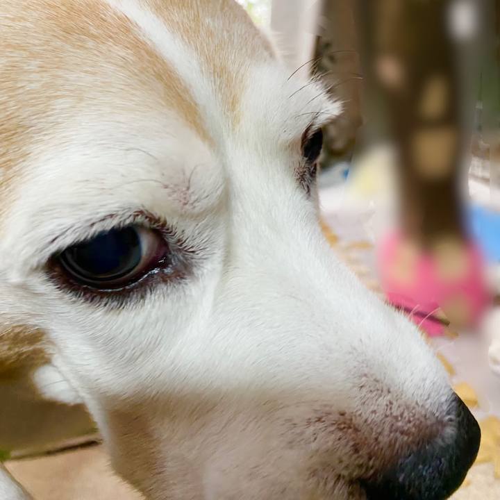 93c938ad 5e6f 4f72 b1e7 07d00f6d699e 1636432755899