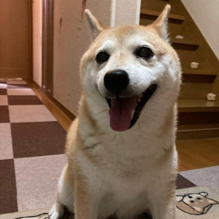 93c93b1c 7480 42d2 901c edd991c8a1fb 1629114766151