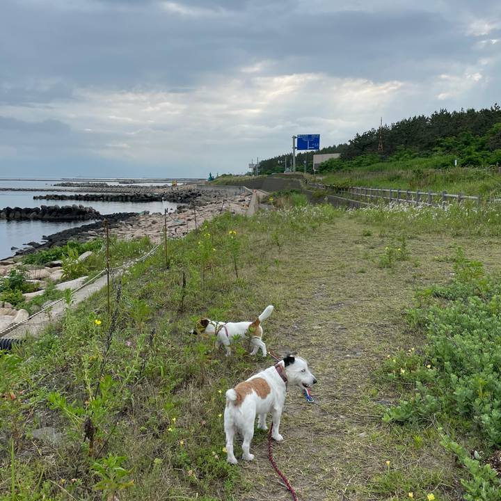 93c941f4 6a1c 4c43 8b6d c53ec179ab66 1624490160194