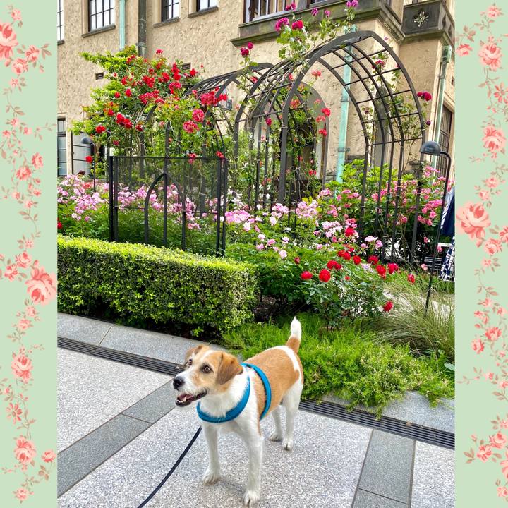 93c9546c a50e 41b0 9747 ccb14469af61 1716637995443