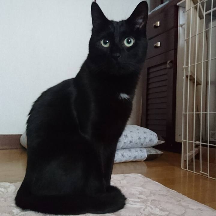 93c9b979 5569 430d bda1 f138253e9eda 1525562837887