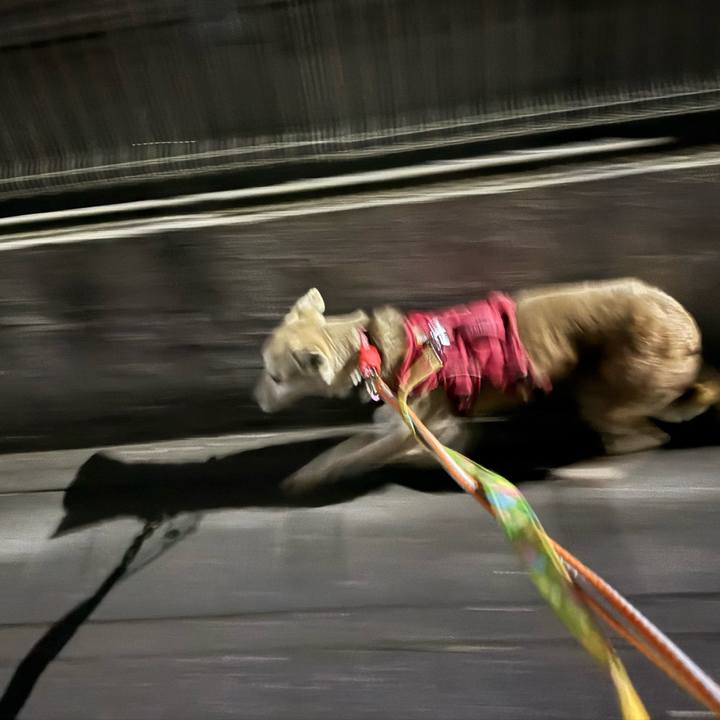 93c9f07d f372 4697 83e6 80bac2fe9ee5 1773915950469