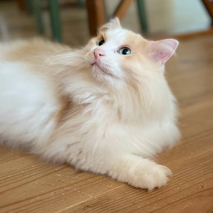 93ca015f 2e18 4f7f ab5b 3dbd5e7245c0 1628714070992