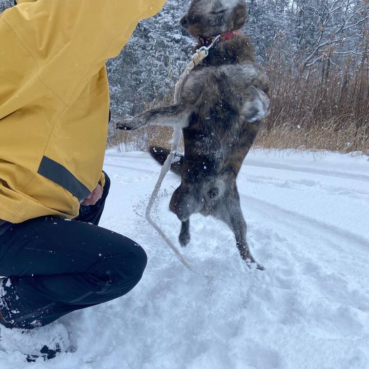 93ca2e07 4350 4a8b 90ab d8b15d744ef8 1609465777827