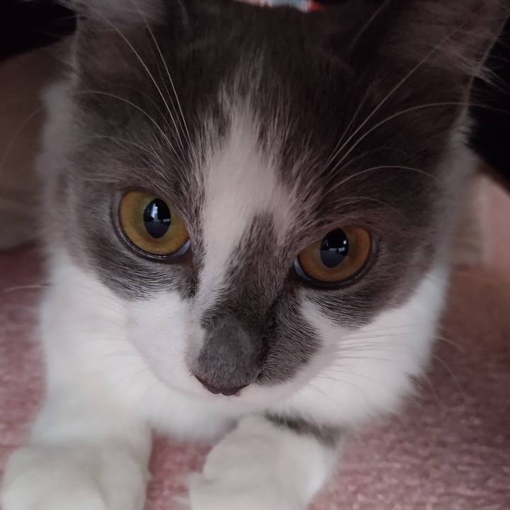 93ca6924 3052 4473 afac 6948cdcfdeee 1570357926394