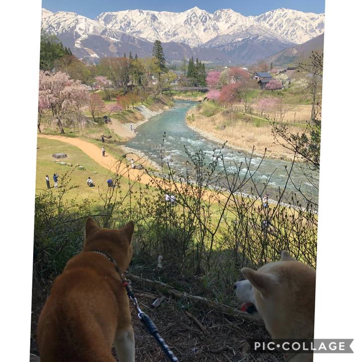 93ca7630 6e2e 425d 8c95 58b196f0e52a 1556934804324