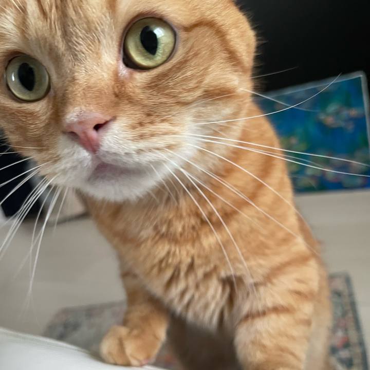 93cab74a c71f 4790 b242 a8a344009cd4 1759020272144