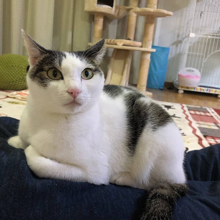 93cac145 9e15 4c0a a61c 783ea3a9395b 1669116955938