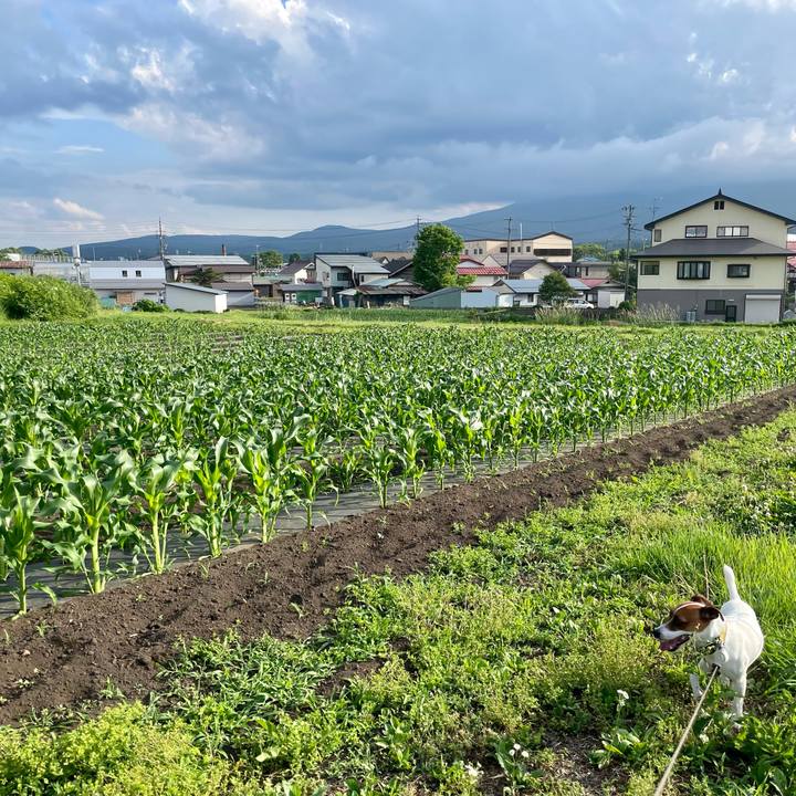 93cadf7f 32e8 4eba b0b3 c64973e5e5d5 1655981328830