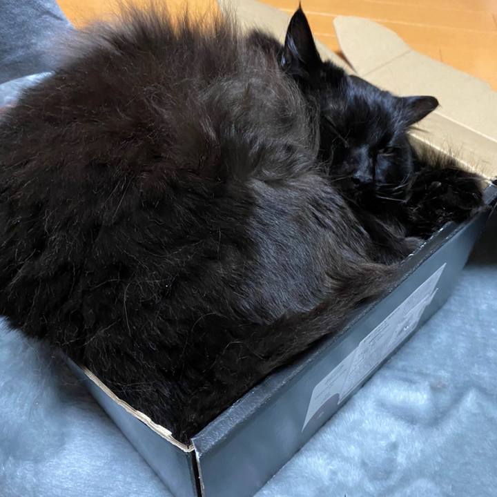 93cae58a 987c 4068 9eec 14504689af2b 1638491848937