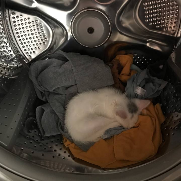 93cb1e7b 7b9e 47fa 970a de97194de741 1593601310700