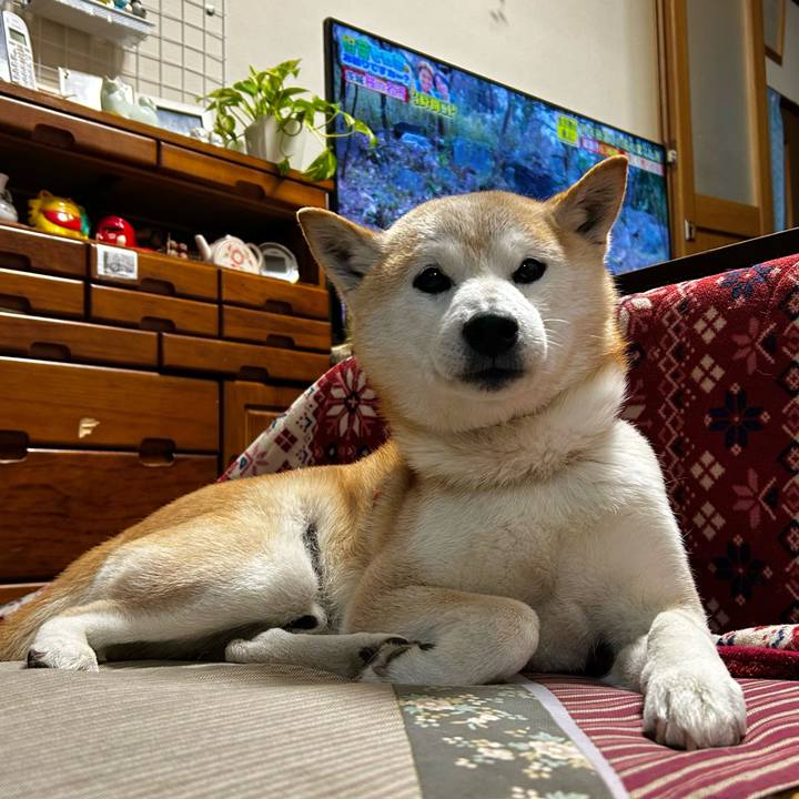 93cb238d 86c7 4ece b6e1 a01e0f6a4a81 1774524594960