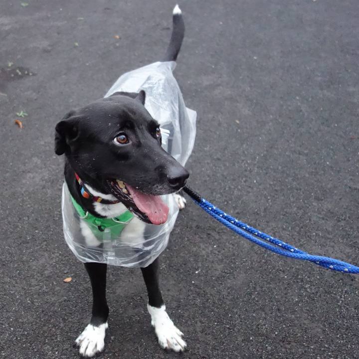 93cb3ee9 8145 410b abbf bebae2556211 1595933839948