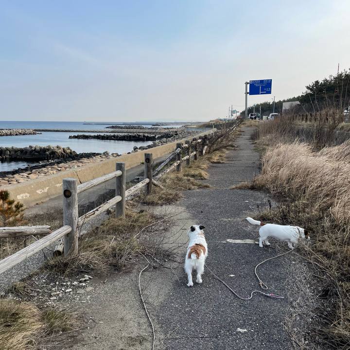 93cb49bc a357 4bed 962f b50ed4d107bd 1678148154358