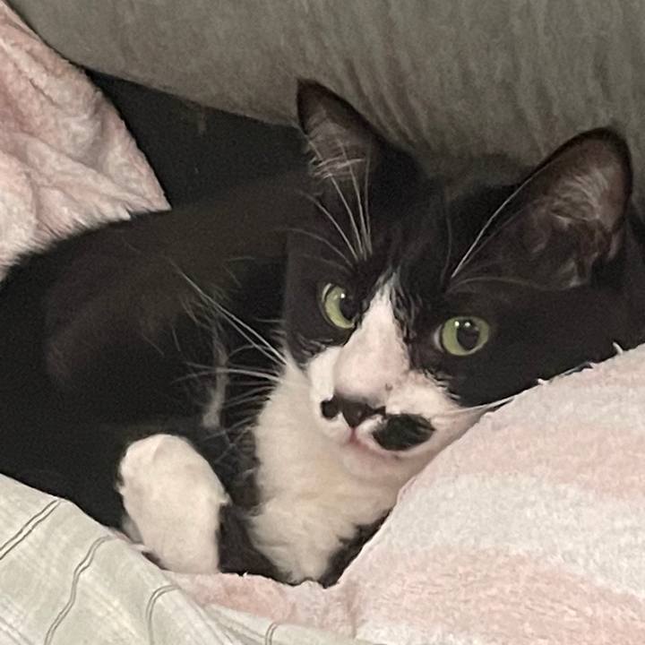 93cb5e87 3d00 4bd3 84af bbda8a04bf75 1680150775561