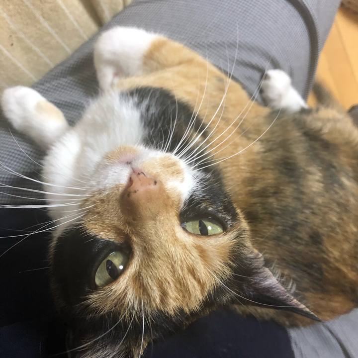 93cb78d5 45f1 4a10 a878 76fb84925219 1589703851170