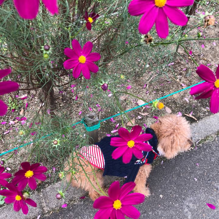 93cb88e2 ac75 4e59 ba2b aa94dcd7e687 1665304499009