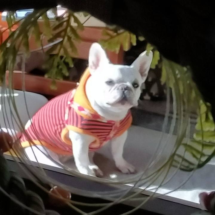 93cb8bcd e740 463e 8dd8 4f87d762dd2b 1641265017911