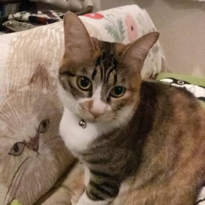 93cb8e50 47b4 470a afca 17fb8d3c3624 1679856579684