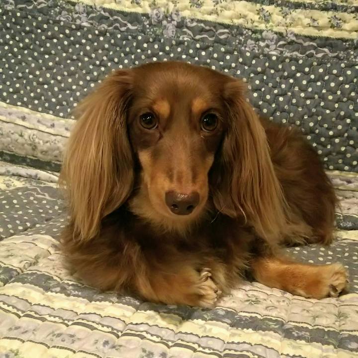 93cbd2a0 99fb 4998 81a2 64f745440c1b 1511442115981