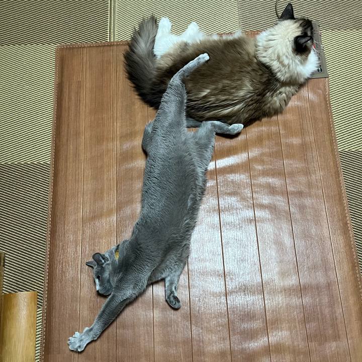 93cbe929 0b93 4574 81ca 5d2c1618d8ee 1738624328125