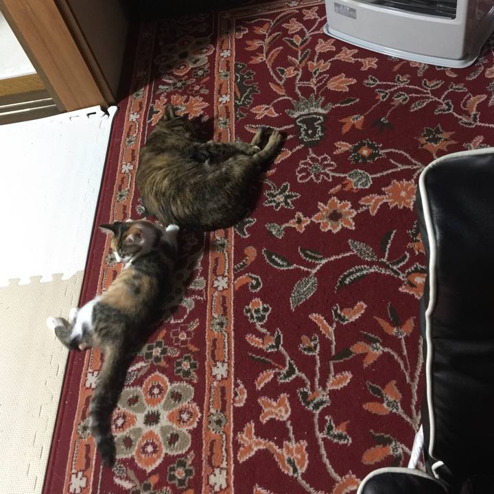 93cbf9da be2f 452b a45a d53a958441ea 1634689698970