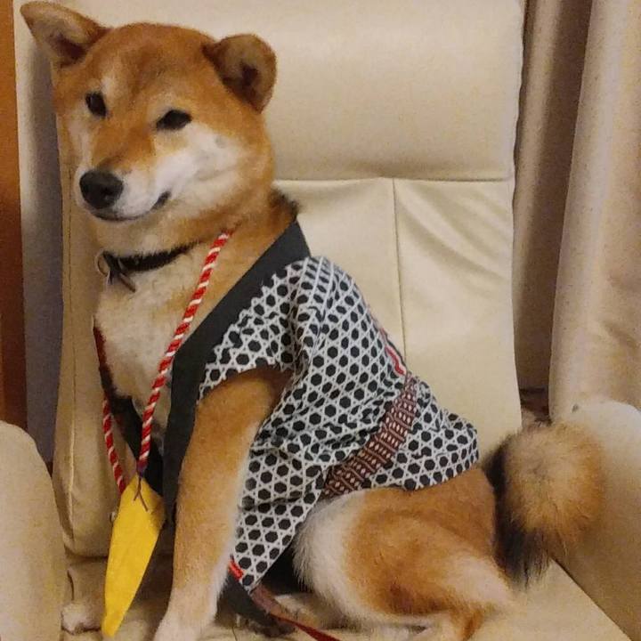 93cc23a1 b54a 4c0c b163 979b09546984 1533808103462