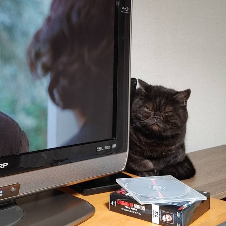 93cc2947 b48a 40ad bb64 c925feb1290d 1679490521209