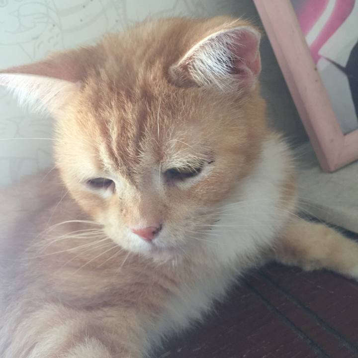 93cc660e 7648 40d8 b6a1 a56003011f3b 1570173403631