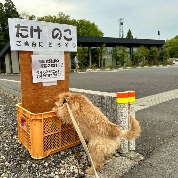 93cc738b 6851 420a 9cdf 295222e63cf6 1713711272692