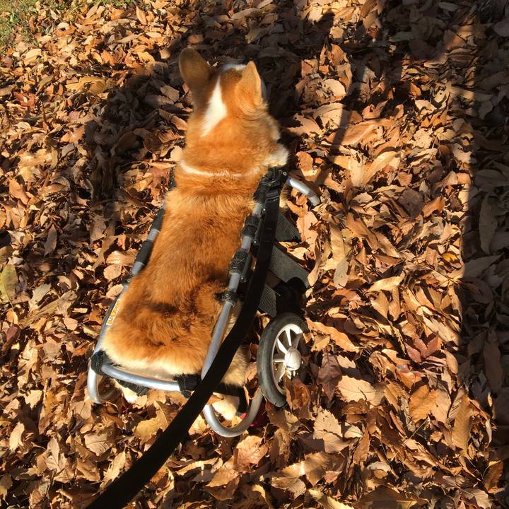 93cc907d 66e7 4d8a 814e 75e6b8afc170 1545185500173