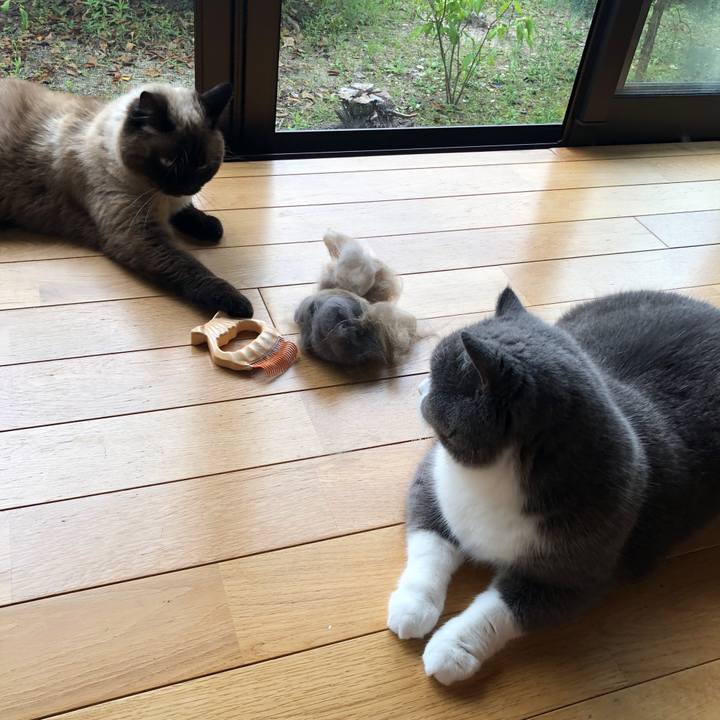 93cc9938 8cb0 45da aad0 c721d150a8eb 1623546000937