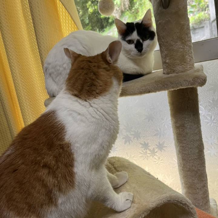 93cc9b42 a9c5 496d 8428 e3e6267e5888 1750250393440