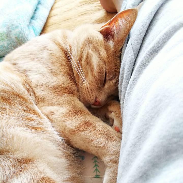 93ccdff2 cc3e 4a3f 9d04 3c900a37cd8a 1560652773548