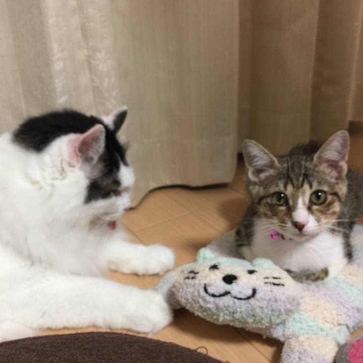 93cce2f0 dbd4 4eb7 a92f afb92d02e6b8 1537108247126