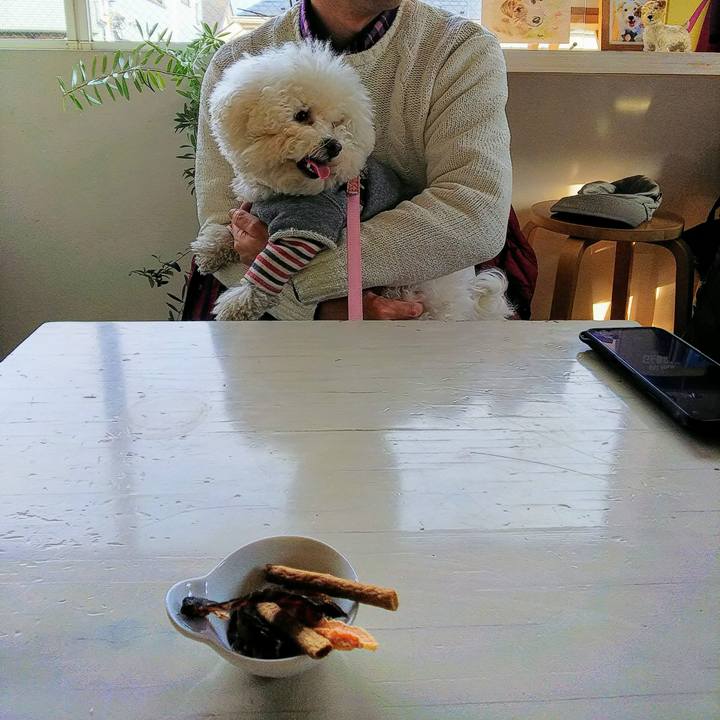 93ccef0c f139 47fb beeb c2e8b63cc183 1552825757512